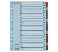 Esselte - Intercalaires 100166 - Touches imprimées en Mylar - A4 - 20 touches