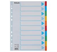 ESSELTE - Intercalaires pour Classeur A4, Lot de 10 Intercalaires Colorées avec Page de Présentation, Fabriquées en Carton Recyclé Solide, Coloris Assortis (AZ100193)