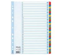 Esselte Mylar Indices & Dividers Onglet Avec Index Numérique Carton Multicolore