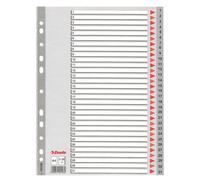 Esselte Plastic Indexes Onglet Avec Index Numérique Polypropylène (Pp)