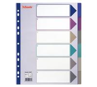 Esselte Plastic Tab, A4 Onglet Avec Index Vierge Polyvinyl Chloride (Pvc)