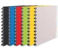 ESSELTE Protège-documents 25 pochettes amovibles 264 x 310 x 21 mm Couleurs assorties