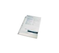 Esselte Pochettes perforées transparentes lisses A4 Economy 40 microns polypropylène 11 trous - Lot de 100