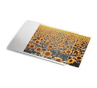 Esselte Tapis de Souris Personnalisable, 19 x 24 cm, Blanc/Transparent, 67691