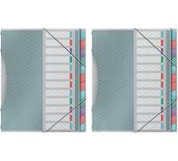 Esselte Trieur À 12 Compartiments Pour Documents A4, Pochettes En Plastique Transparent, Maison / Bureau, Motif Texturé, Gamme Colour'breeze, Multicolore, 626256