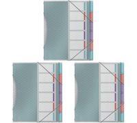 Esselte Trieur À 12 Compartiments Pour Documents A4, Pochettes En Plastique Transparent, Maison / Bureau, Motif Texturé, Gamme Colour'breeze, Multicolore, 626256