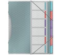 Esselte - Trieur à 6 Compartiments pour Documents A4, Pochettes en Plastique Transparent, Maison / Bureau, Motif Texturé, Gamme Colour'Breeze, Multicolore, 626255