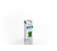 Essence à huile essentielle Citronnelle de Ceilan 100 ml Conditionnement 100 ml 400 g