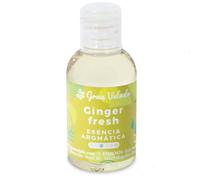 Essence aromatique Ginger Fresh | Notes d'agrumes, épicées et sucrées | Idéal pour savons, bougies et crèmes | 250 ml