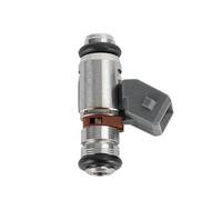Essence Buse Carburant Injecteur de carburant 2 pièces, Convient pour harley-davidson Ultra Classic Dyna, Convient pour Ducati Monster 620 750 800, 0539980311 Injecteurs Carburant