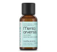 Essenciales - Huile essentielle de Menthe des champs (Mentha Arvensis), 30 ml | 100% Pure et Naturel