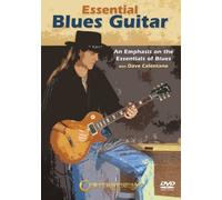 Essentai Guitar: an Emphasis on The Essentials of Blues