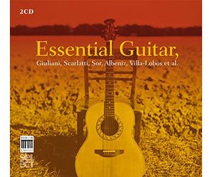 Essential Guitar