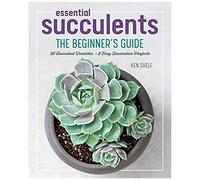 Essential Succulents