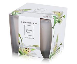 Essentials by Ipuro Bougie parfumée Lys blanc 125 g - Le parfum pur de la fleur blanche - Une expérience parfumée florale et délicate (lot de 1)