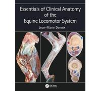 Essentials in Clinical Anatomy of the Equine Locomotor System