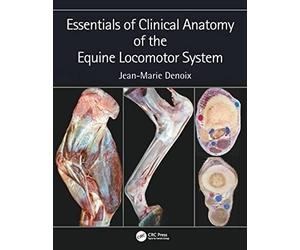 Essentials in Clinical Anatomy of the Equine Locomotor System