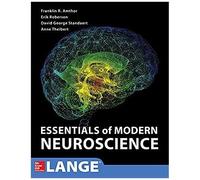 Essentials Of Modern Neuroscience