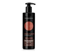 ESSENTIEL 2en1 Shampooing Soin Keratin Frizz pour Cheveux Epais/Bouclés/Rebelles, Cèdre, 400 ml