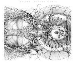 Essenz - Mundus Numen (Grey Vinyl) [Vinyl LP]