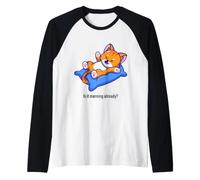 Est-il déjà Matin ? Chat Nope Not Today Kitten Kitty Funny Manche Raglan