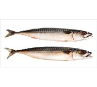 ESTAhome Autocollant mural poissons gris - 159040 - 97 x 48,5 cm