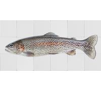 ESTAhome Stickers muraux poissons gris et rose saumon - 159031 - 97 x 48,5 cm