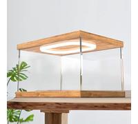 ESTDKMNOS Boîtes d'affichage Transparentes, Acrylic Organizer Box Display Case with LED Light Multiple Sizes(10x10x15cm(4x4x6in))