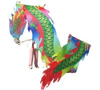 ESTDKMNOS Ruban pour Danse du Dragon Chinois, Ruban de Danse du Dragon for Le Fitness et la Performance, Plusieurs Tailles 600-1000 cm(600cm)