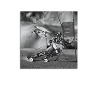ESTE Poster géant sur toile représentant le ski extrême de Slalom - Art moderne - 30 x 30 cm