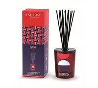 ESTEBAN Bouquet parfumé décoratif et sa Recharge 100ml Rouge Cassis