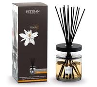 Esteban - Bouquet parfumé Ellipse Neroli 500ml