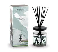 Esteban - Bouquet parfumé Ellipse Pur Lin 500 ML