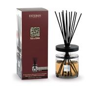 Esteban - Bouquet parfumé Ellipse Teck & Tonka 500 ML