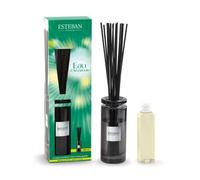 Esteban - Bouquet parfumé Initial - Eau d'Amazonie - Rechargeable -100 ml