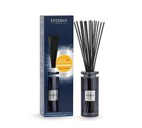 ESTEBAN Bouquet parfumé Initial et sa Recharge 75ml Ambre et Vanille étoilée