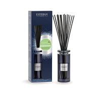 ESTEBAN Bouquet parfumé Initial et sa Recharge 75ml Thé Blanc et Ylang Ylang