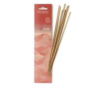 Esteban - Encens indiens - Terre D'Oeil - 20 pcs