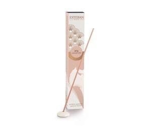 Esteban - Encens japonais - Iris et Cachemire - 40 pièces