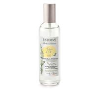Esteban - Jasmin d'été Diffuseurs et parfums d'intérieur 100 ml unisex
