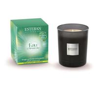 ESTEBAN PARIS-Bougie initiale parfumée Esteban en verre noir senteur Eau d'Amazonie - 180 g
