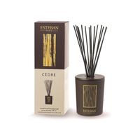 ESTEBAN PARIS-Bouquet parfumé déco et sa recharge Cèdre Esteban - 100 ml