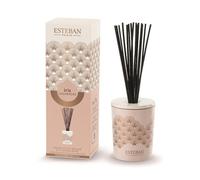 ESTEBAN PARIS-Bouquet parfumé déco et sa recharge Iris cachemire Esteban - 100 ml