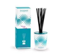 ESTEBAN PARIS-Bouquet parfumé déco et sa recharge Ylang-Ylang Esteban - 100 ml