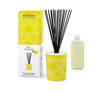 Esteban Paris - Bouquet parfumé déco Terre d'agrumes 100 ML (Bâtonnets et Recharge)