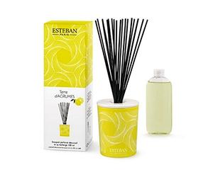 Esteban Paris - Bouquet parfumé déco Terre d'agrumes 100 ML (Bâtonnets et Recharge)