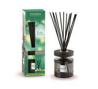 ESTEBAN PARIS-Bouquet parfumé et recharge Esteban Ellipse vert parfum Eau d’Amazonie - 200 ml