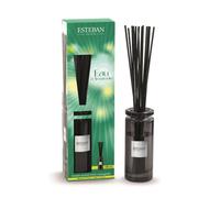 ESTEBAN PARIS-Bouquet parfumé initial avec recharge eau d’Amazonie Esteban - 100 ml