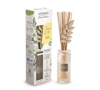 Bouquet parfumé jasmin d’été