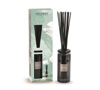 ESTEBAN PARIS-Bouquet parfumé Initial et sa recharge Pur Lin Esteban - 100 ml